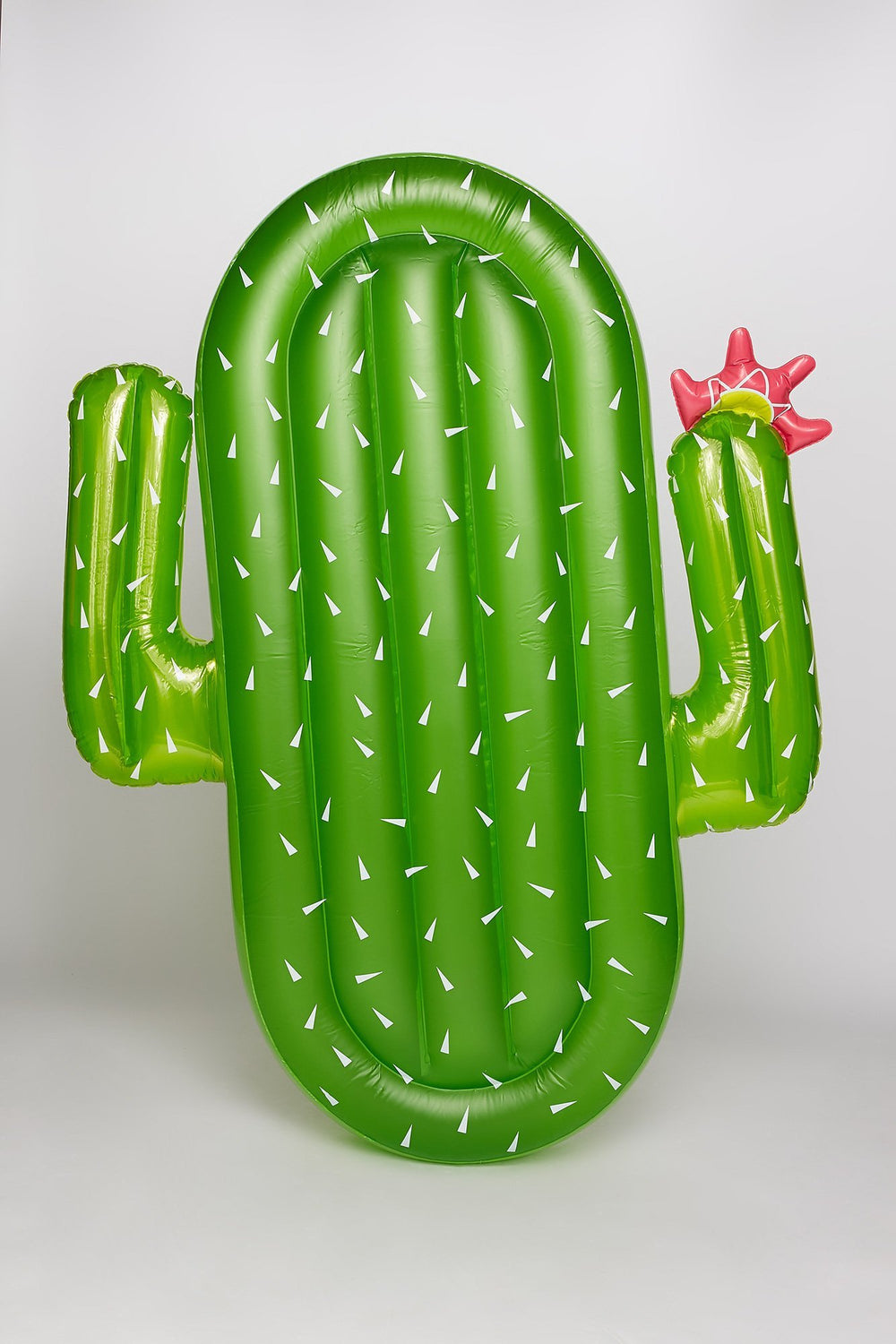 Women Huge Cactus Pool Float Assorted