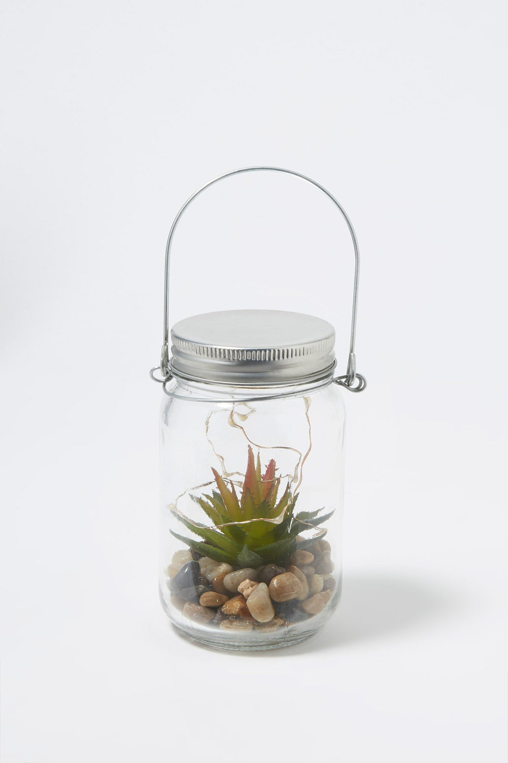 Women Succulent Mason Jar Light Clear