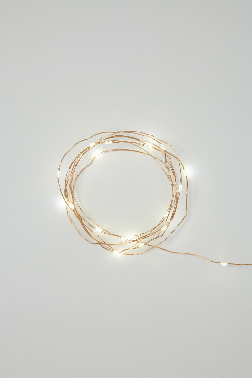 Women Copper Firefly LED String Lights Copper