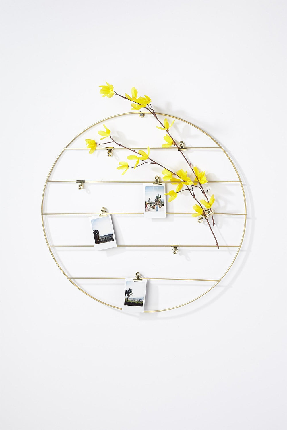 Women Gold Metal Circle Grid Wall Organizer Gold