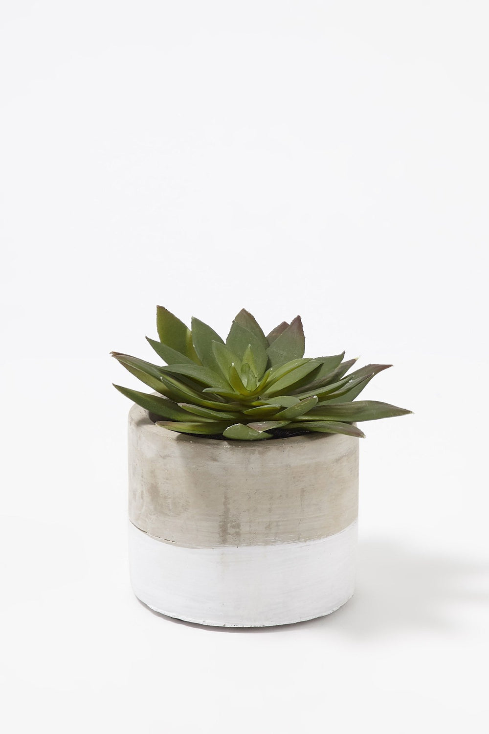 Women Plante grasse artificielle avec pot en ciment à blocs de couleurs Gris