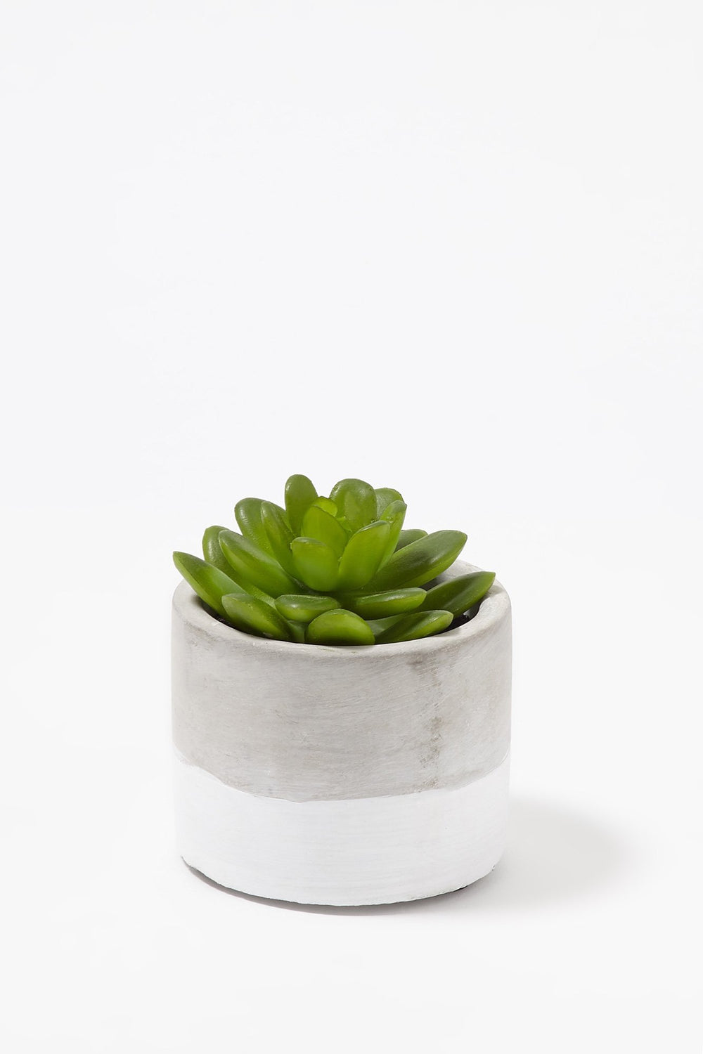 Women Artificial Jade Plant Succulent With Colour Block Cement Planter Heather Grey